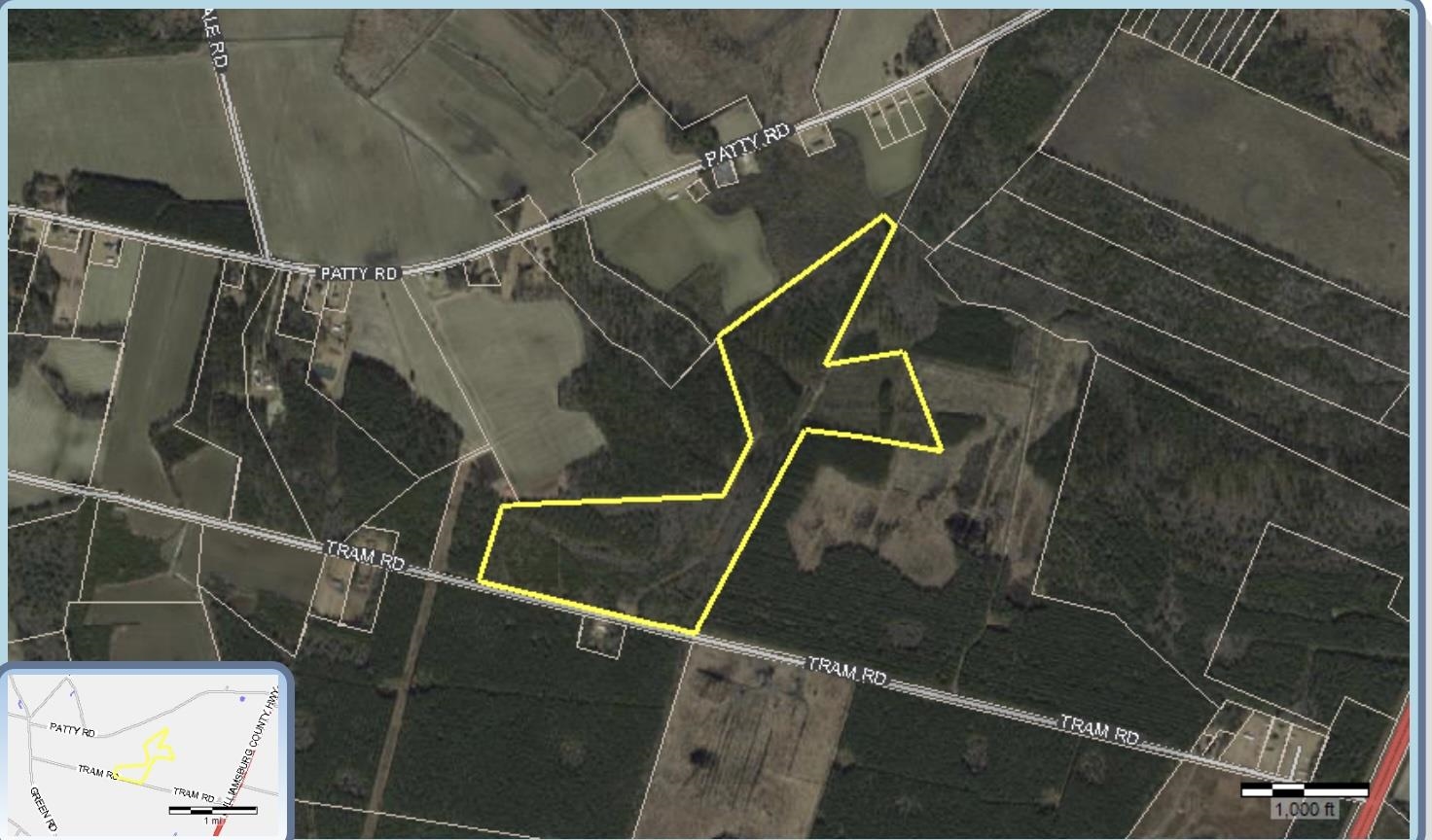 452 Tram Rd. Cades, SC 29518