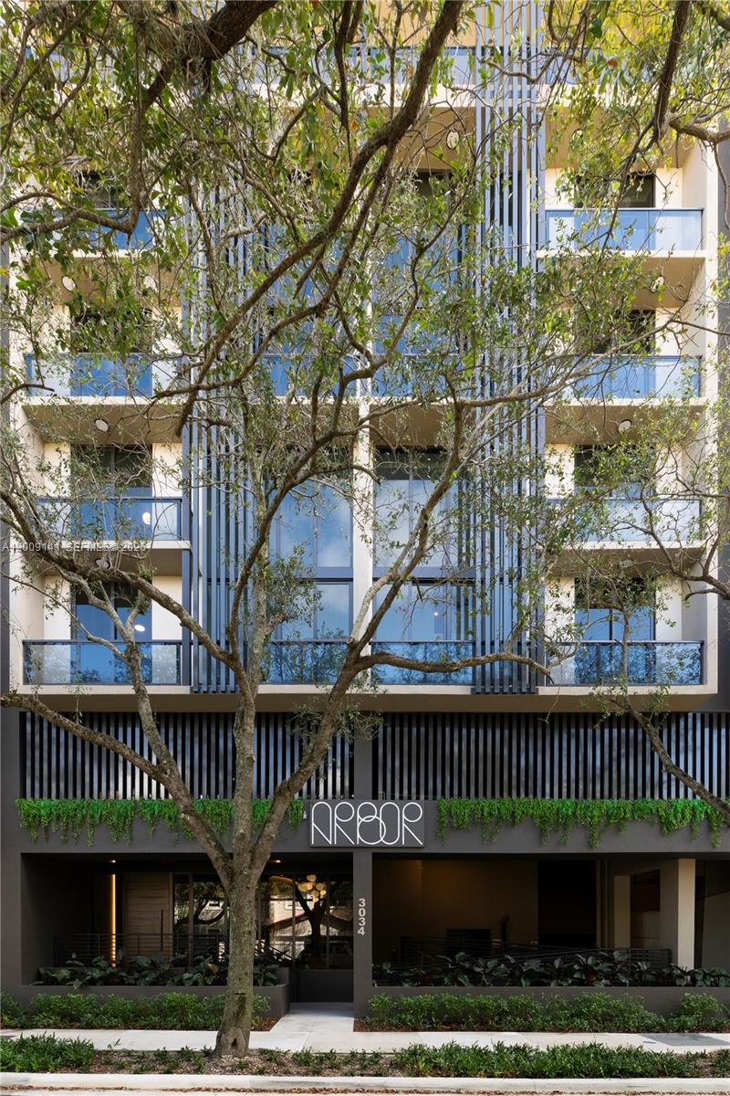 Arbor Coconut Grove