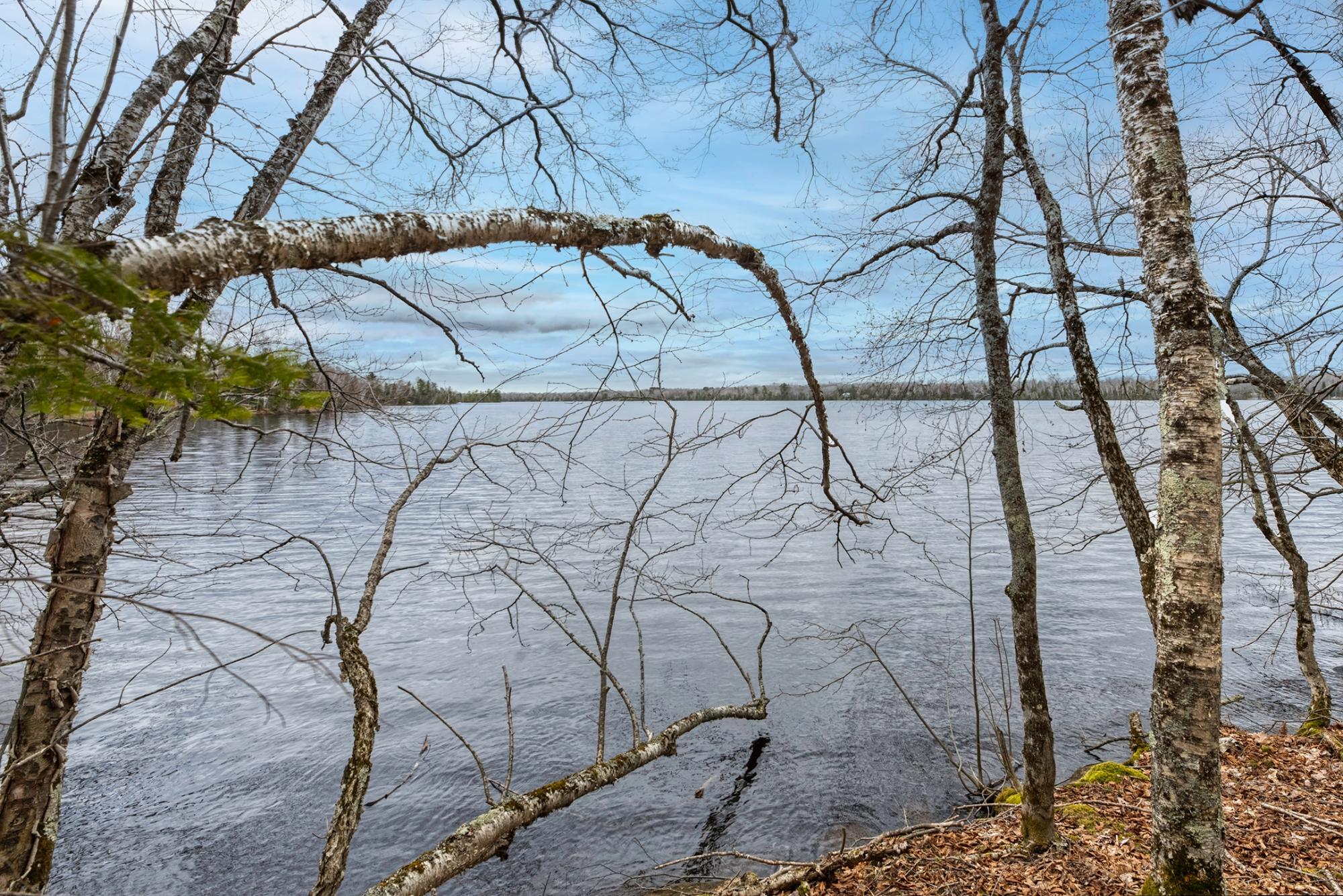 North Turtle Lake Property Off Johnson Ln Photo 14