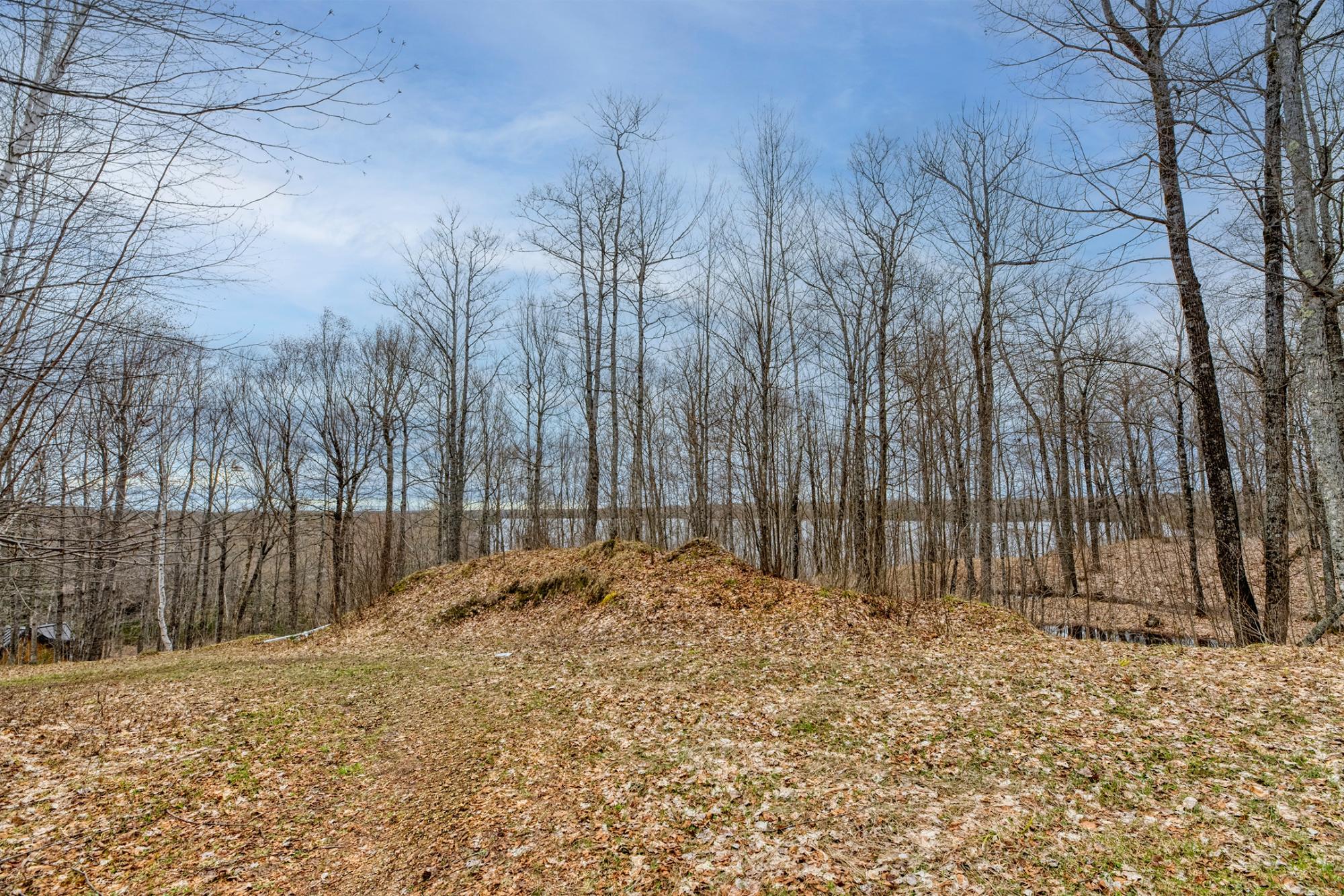 North Turtle Lake Property Off Johnson Ln Photo 3