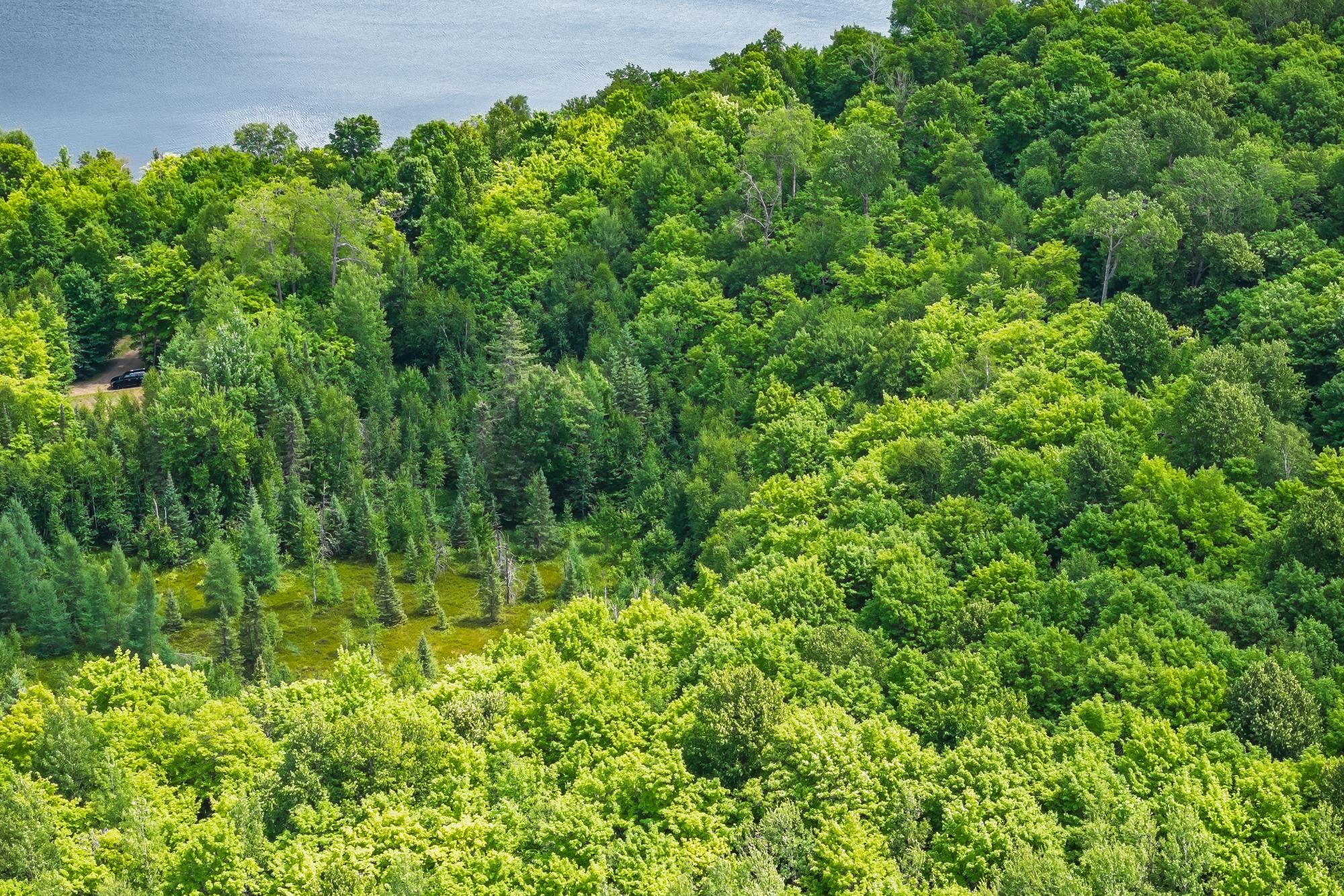 North Turtle Lake Property Off Johnson Ln Photo 3