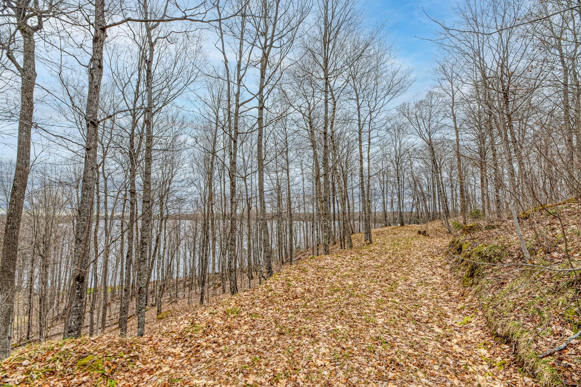 North Turtle Lake Property Off Johnson Ln Photo 4