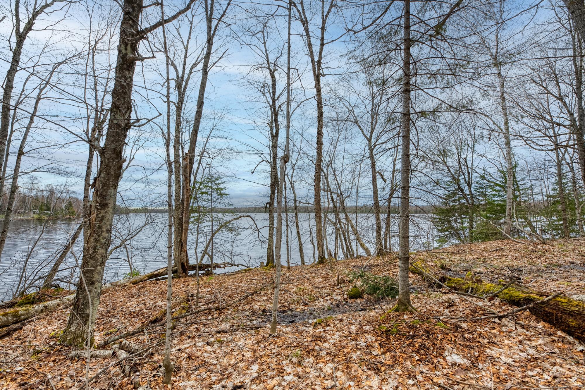 North Turtle Lake Property Off Johnson Ln Photo 8