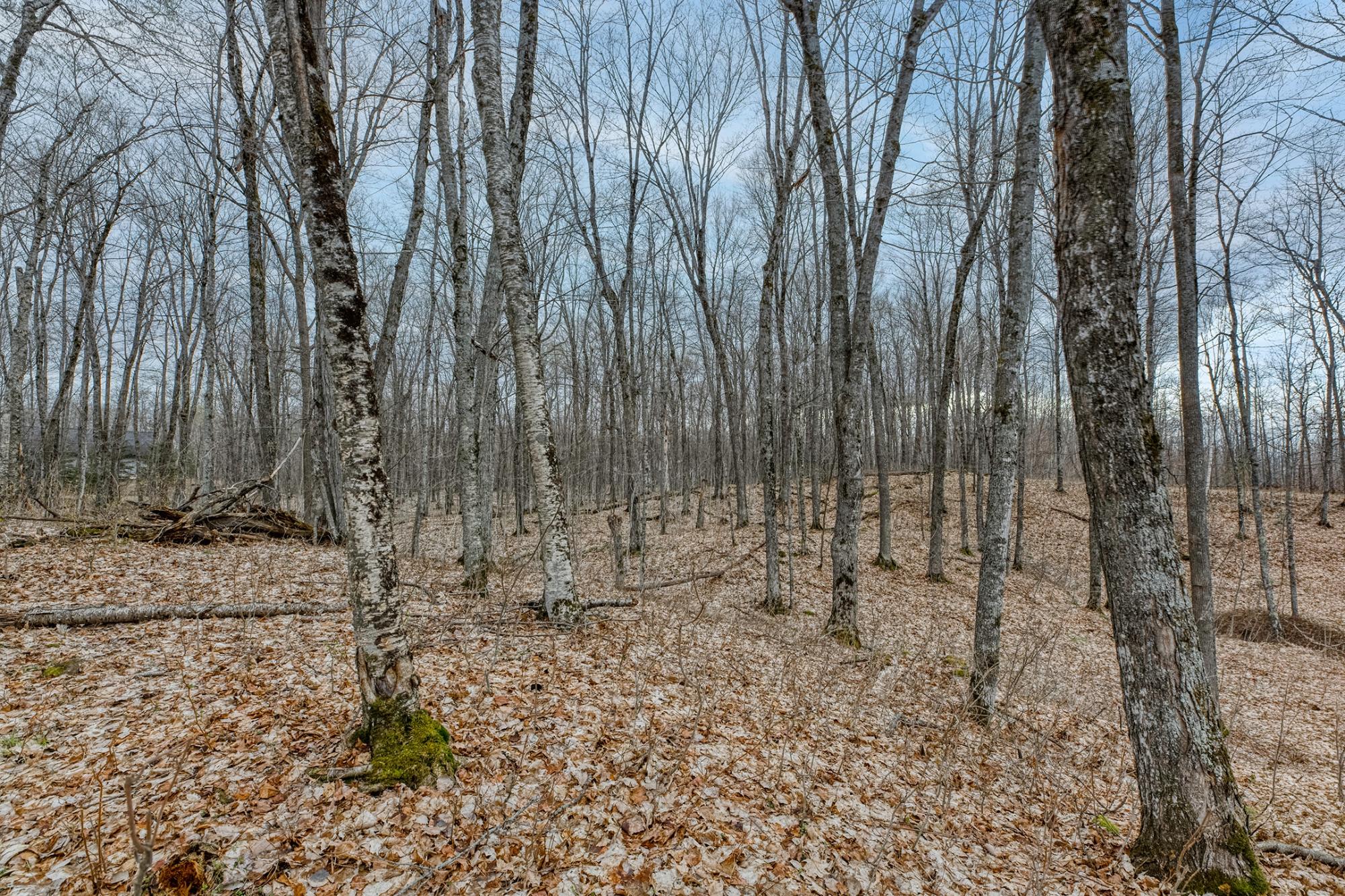 North Turtle Lake Property Off Johnson Ln Photo 12