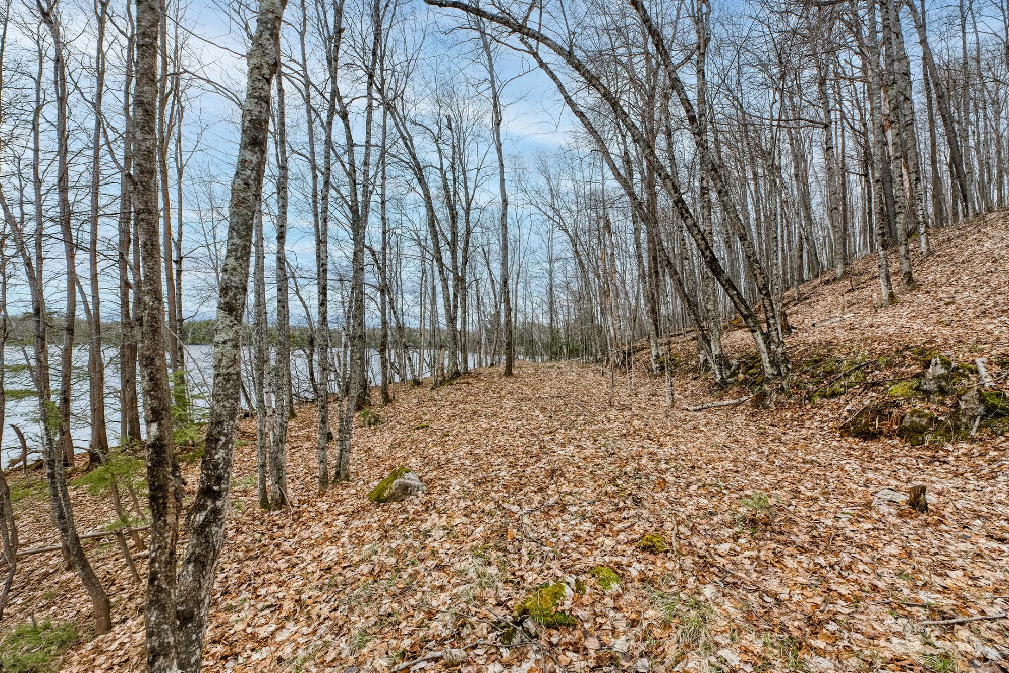 North Turtle Lake Property Off Johnson Ln Photo 3