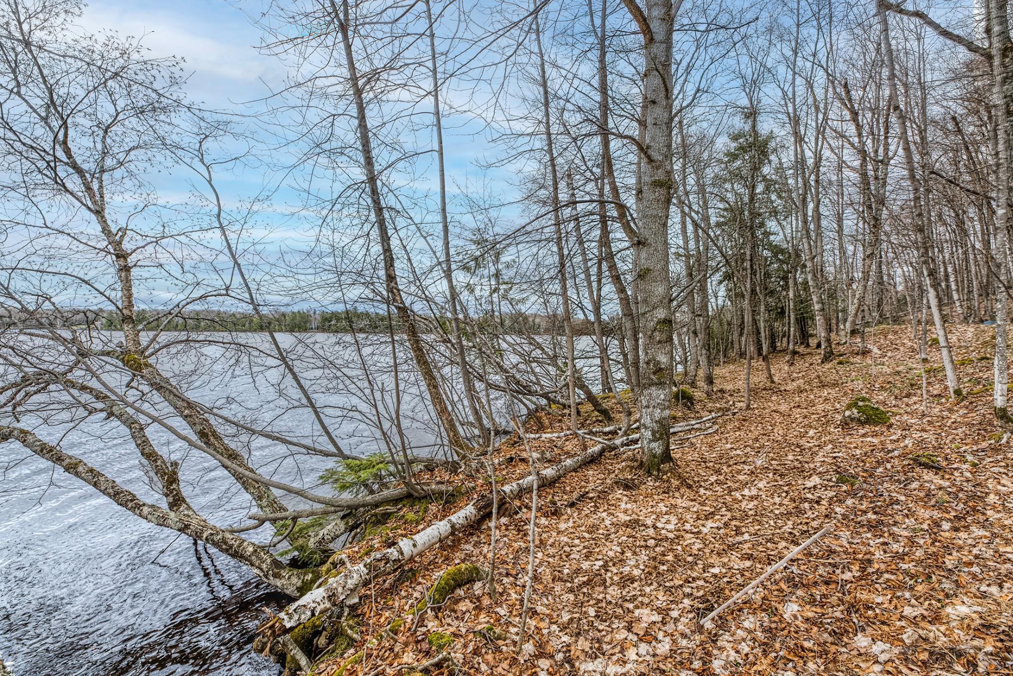 North Turtle Lake Property Off Johnson Ln Photo 5