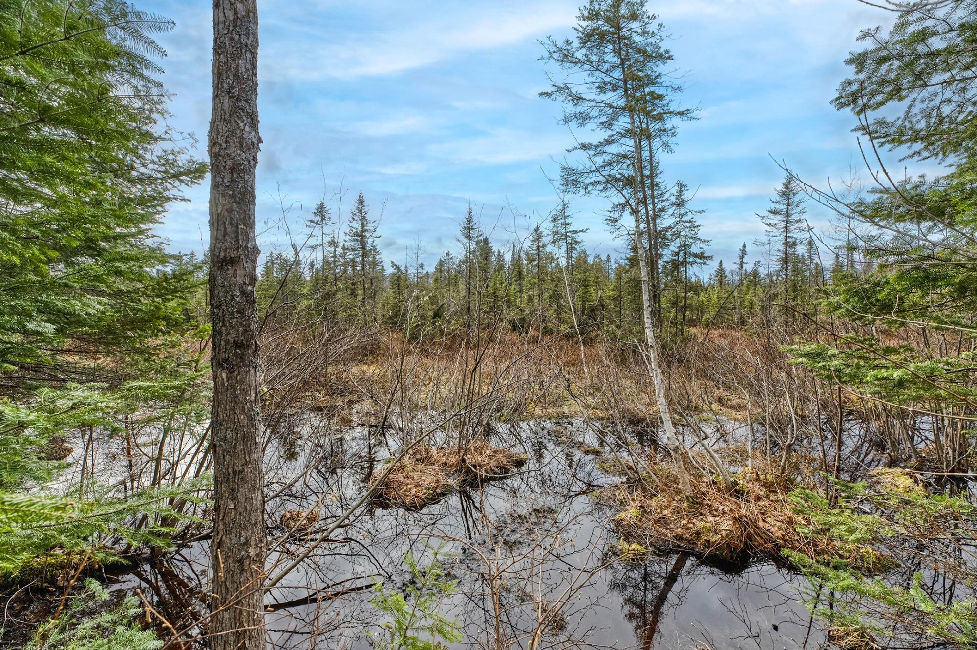 North Turtle Lake Property Off Johnson Ln Photo 11