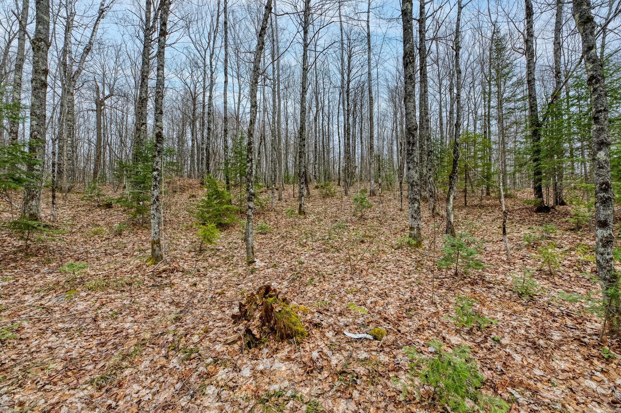 North Turtle Lake Property Off Johnson Ln Photo 12