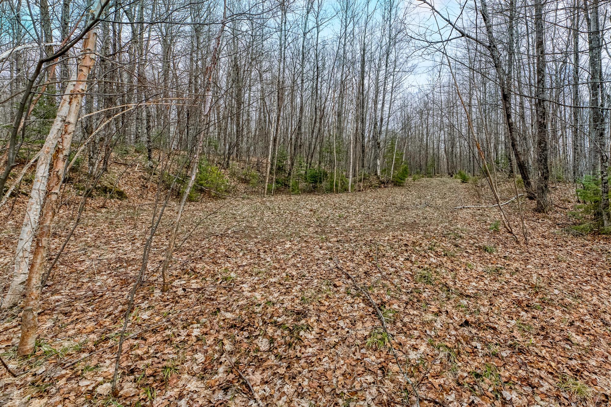 North Turtle Lake Property Off Johnson Ln Photo 14