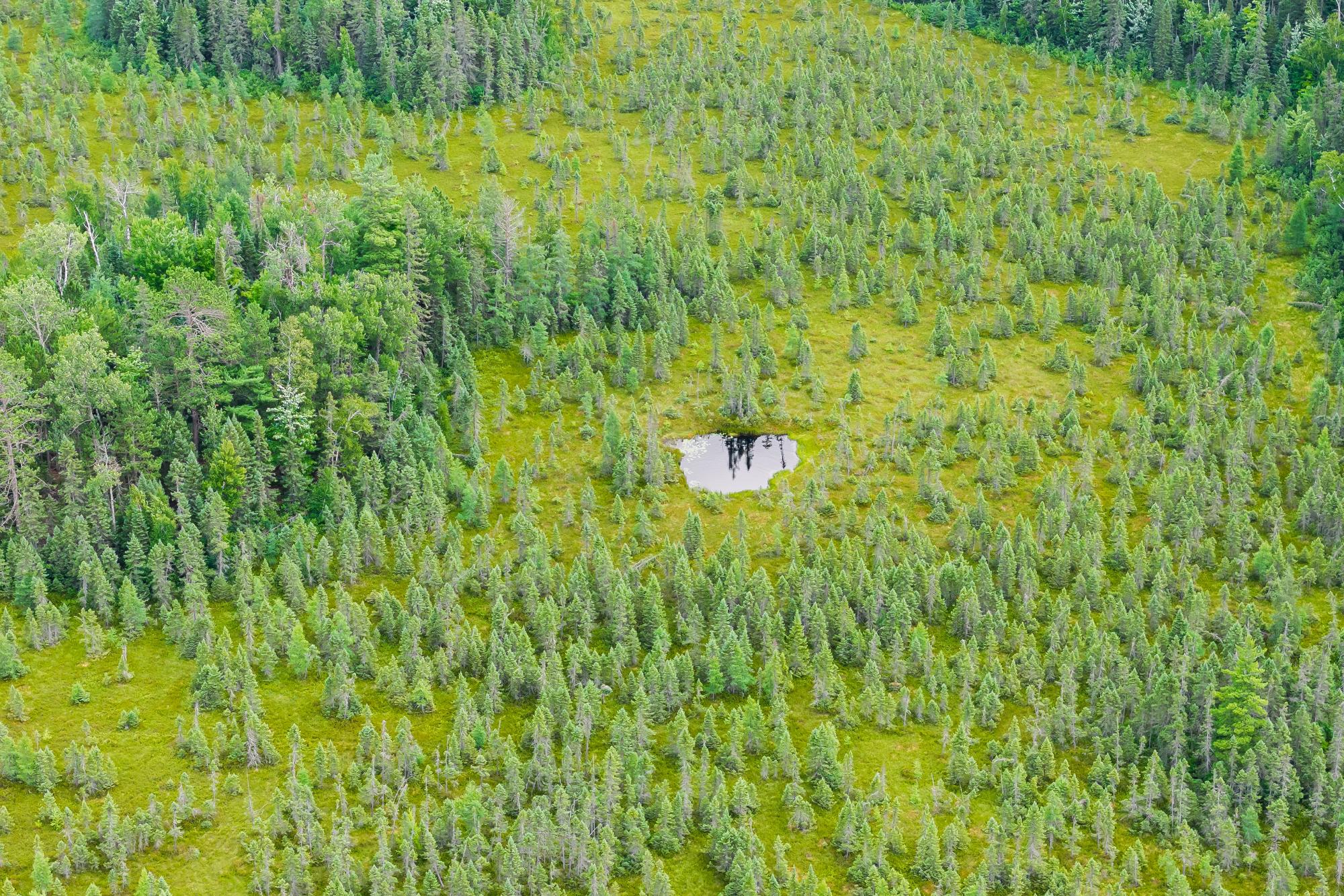 North Turtle Lake Property Off Johnson Ln Photo 14
