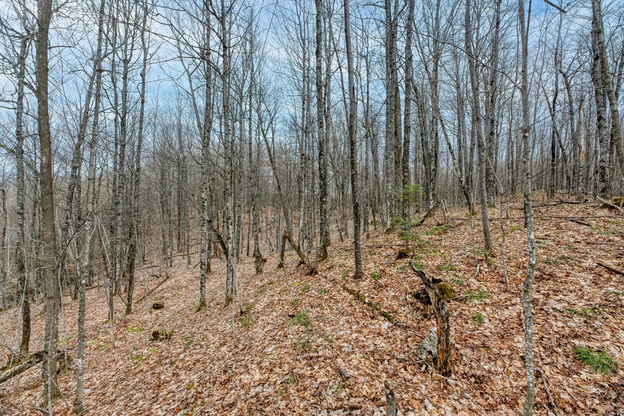 North Turtle Lake Property Off Johnson Ln Photo 15