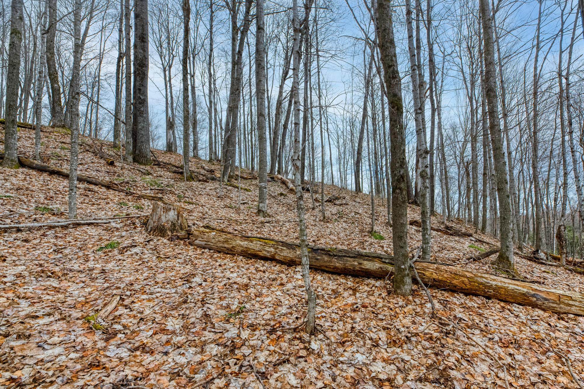North Turtle Lake Property Off Johnson Ln Photo 22