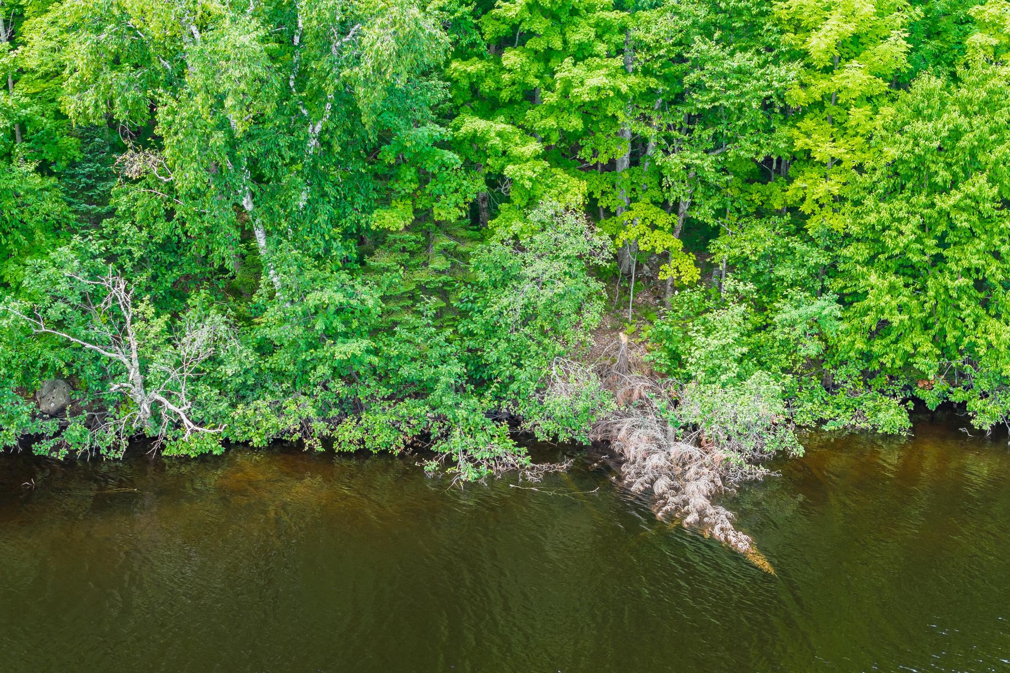North Turtle Lake Property Off Johnson Ln Photo 23