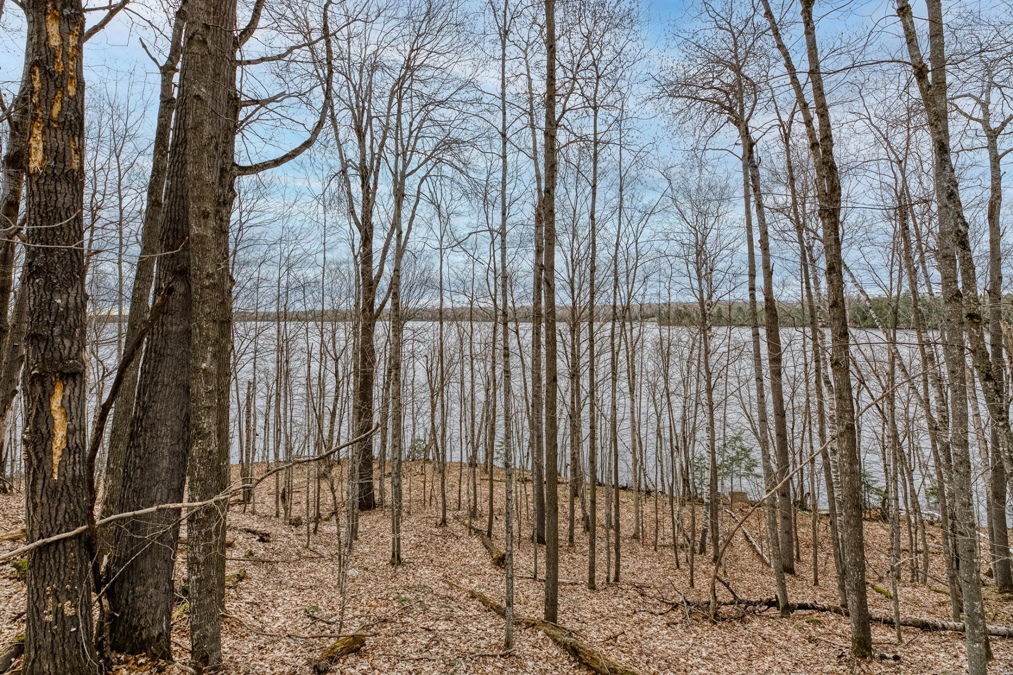 North Turtle Lake Property Off Johnson Ln Photo 24