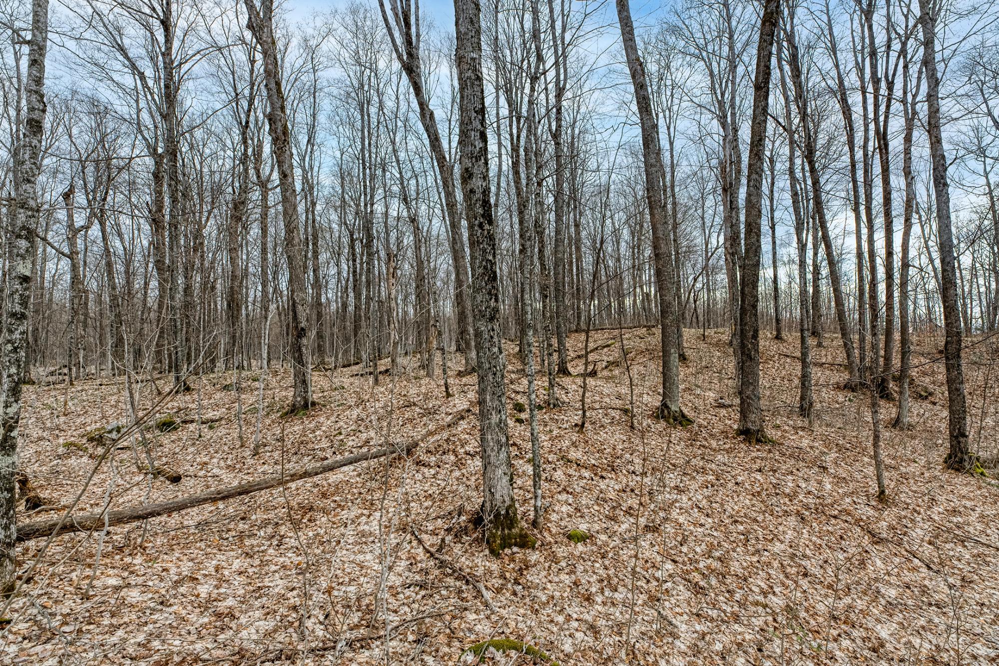 North Turtle Lake Property Off Johnson Ln Photo 27