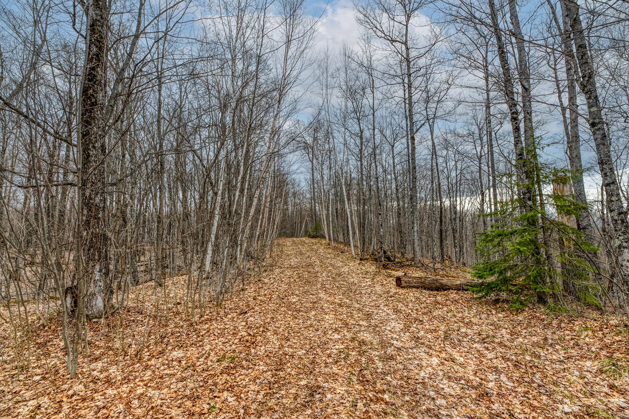 North Turtle Lake Property Off Johnson Ln Photo 29
