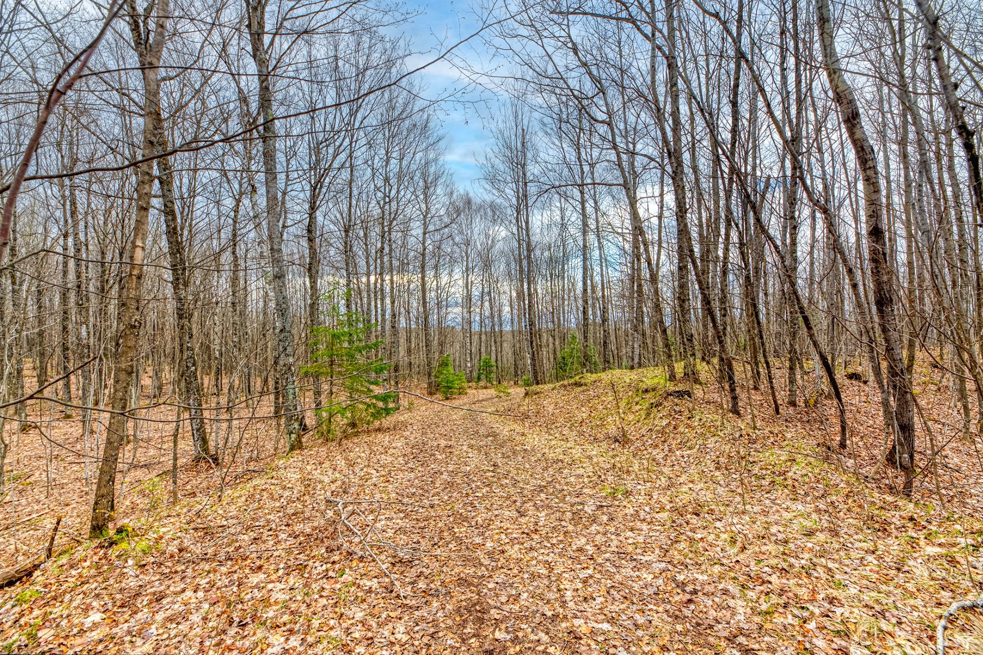 North Turtle Lake Property Off Johnson Ln Photo 3