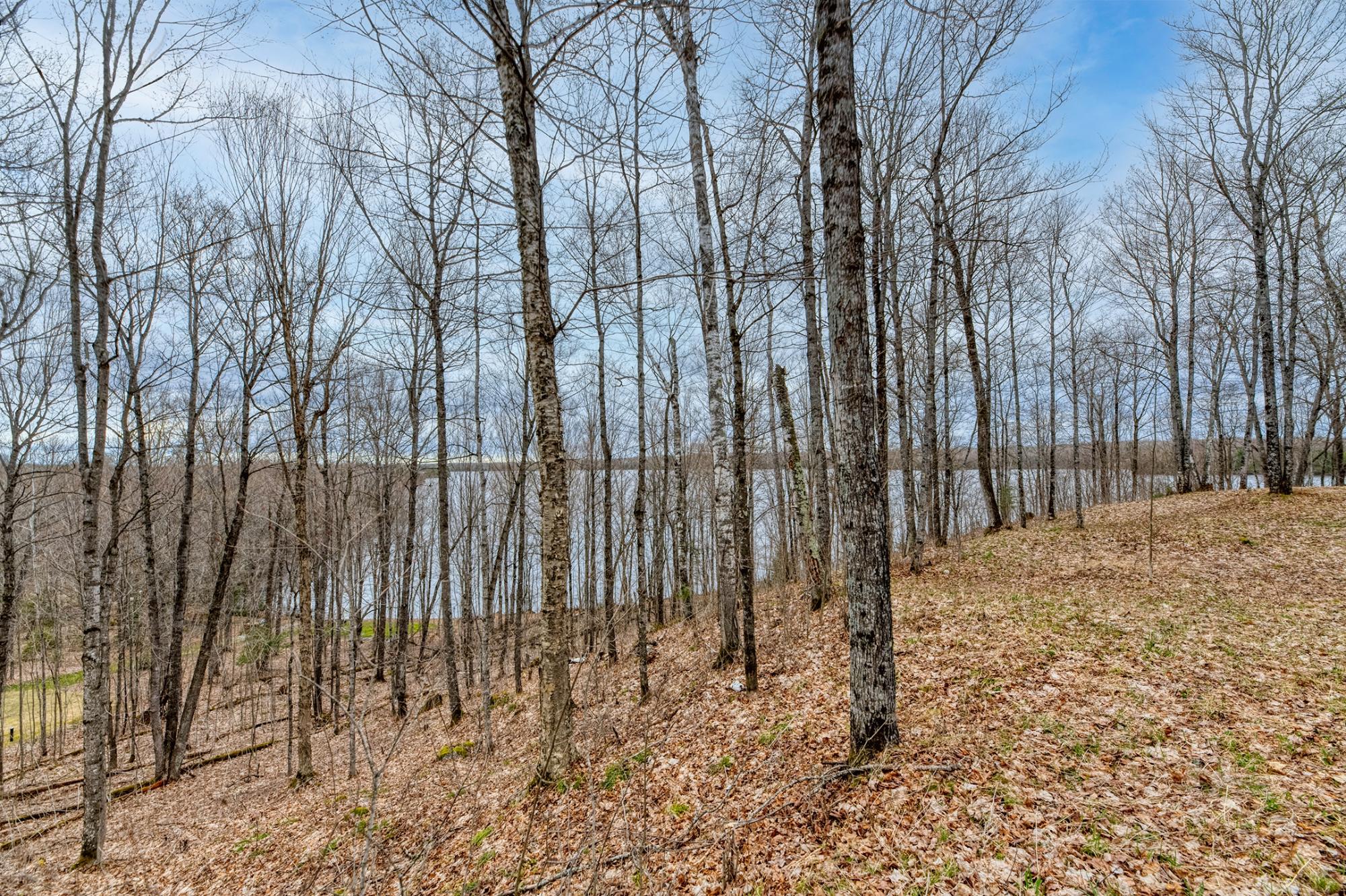 North Turtle Lake Property Off Johnson Ln Photo 32