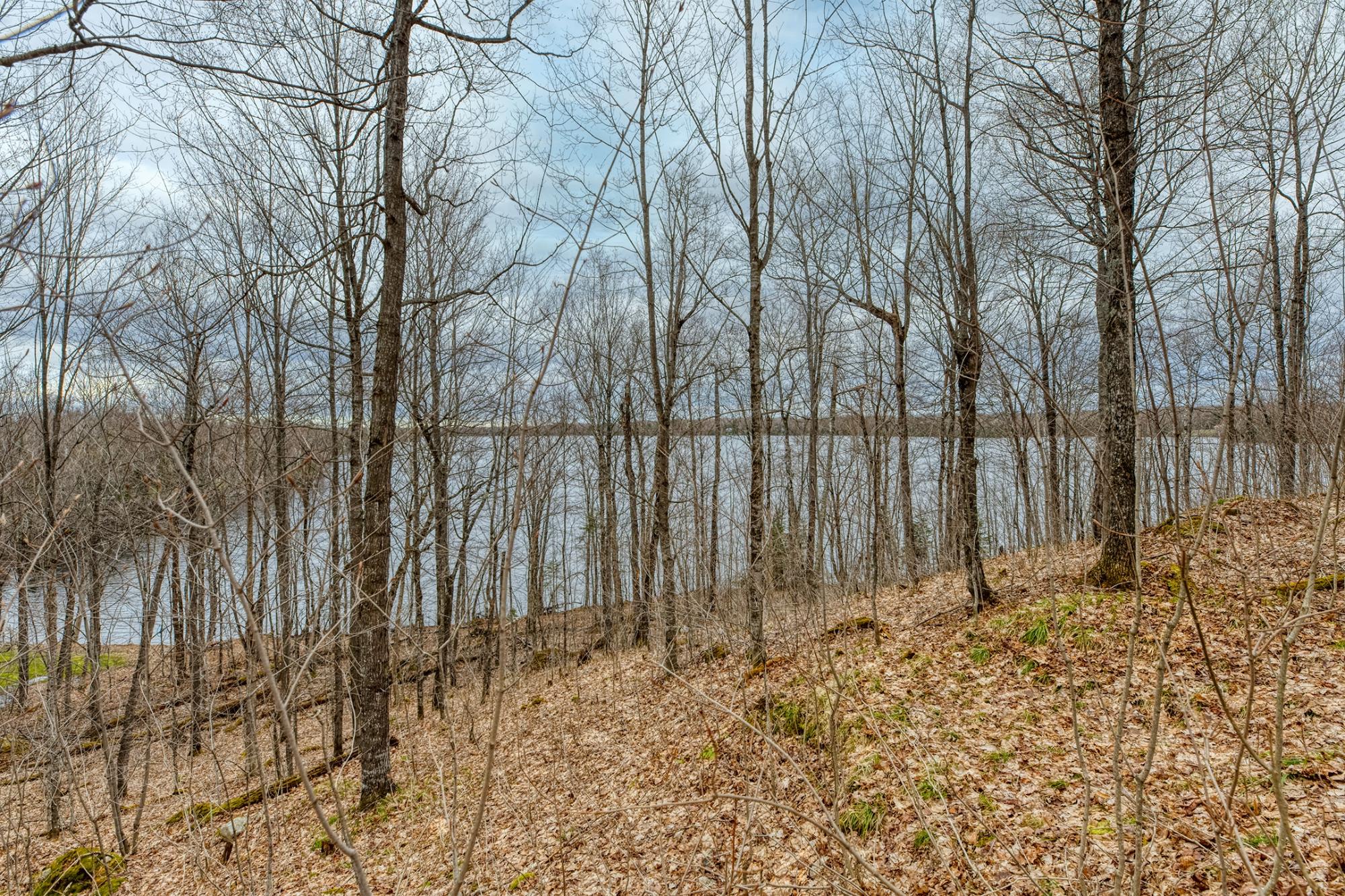 North Turtle Lake Property Off Johnson Ln Photo 34