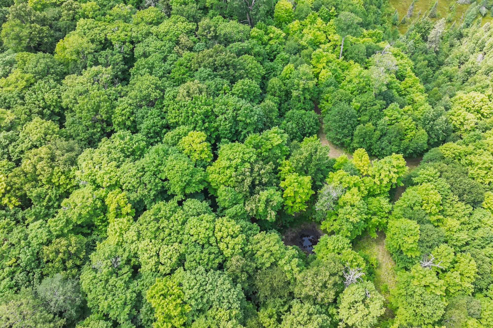 North Turtle Lake Property Off Johnson Ln Photo 35