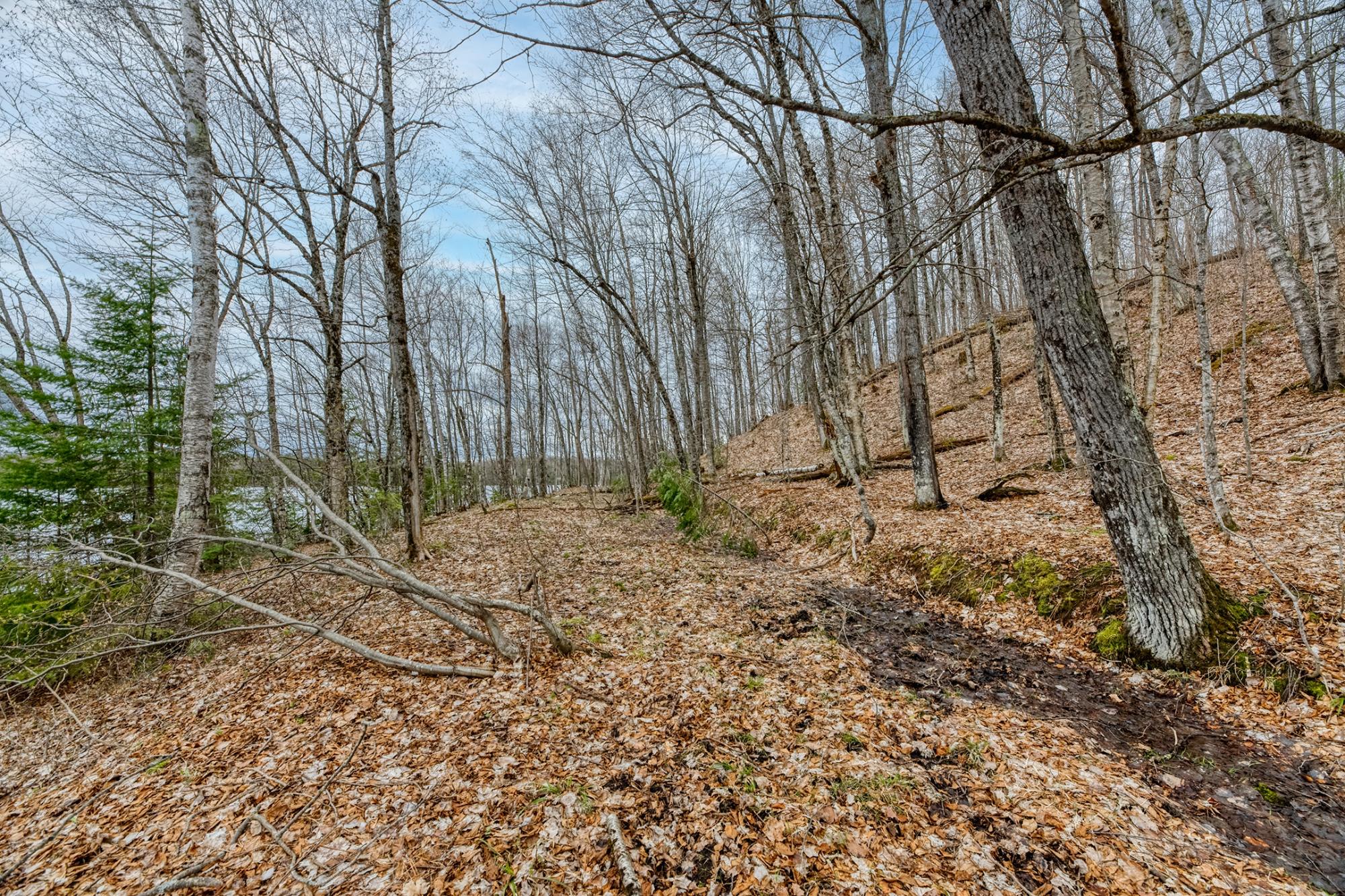 North Turtle Lake Property Off Johnson Ln Photo 39