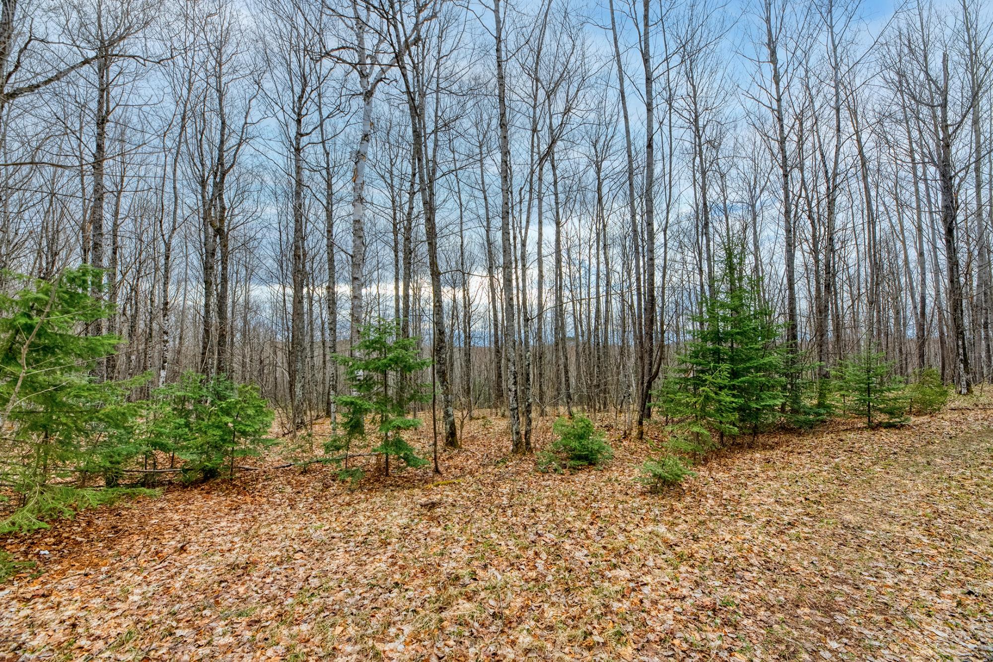 North Turtle Lake Property Off Johnson Ln Photo 4