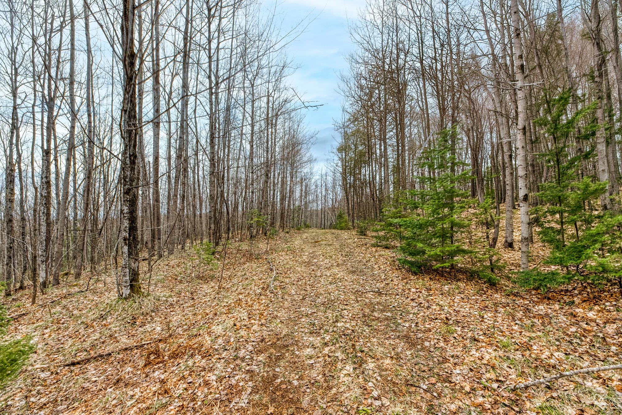 North Turtle Lake Property Off Johnson Ln Photo 5