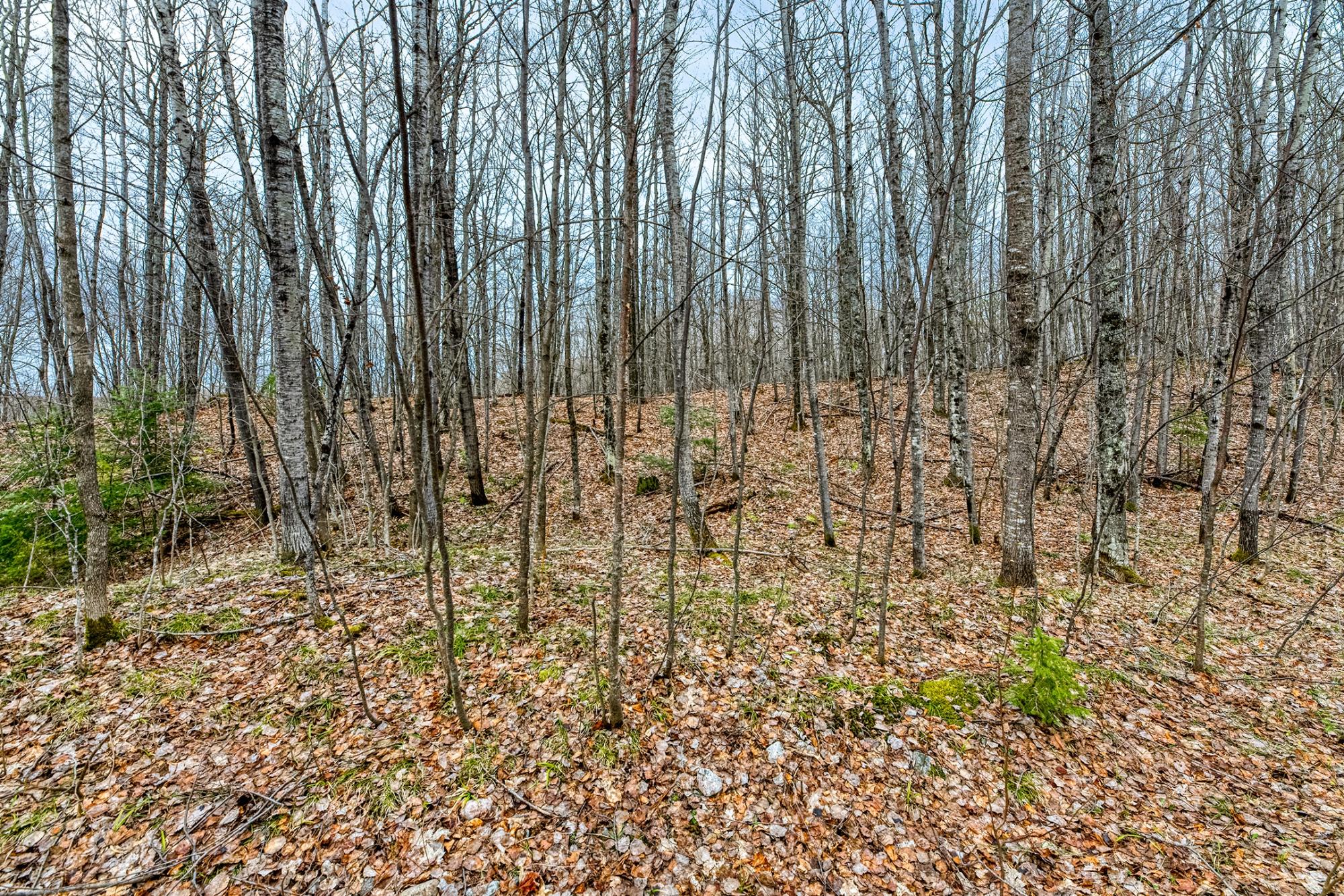 North Turtle Lake Property Off Johnson Ln Photo 6