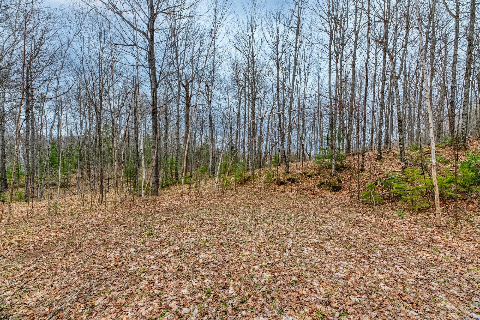 North Turtle Lake Property Off Johnson Ln Photo 7