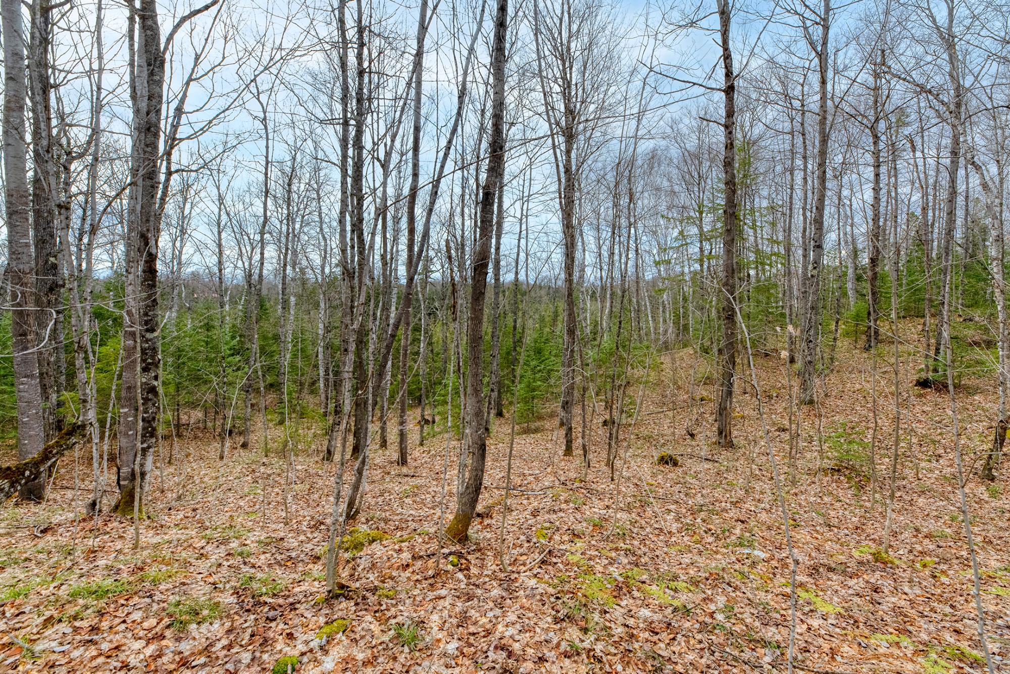 North Turtle Lake Property Off Johnson Ln Photo 8