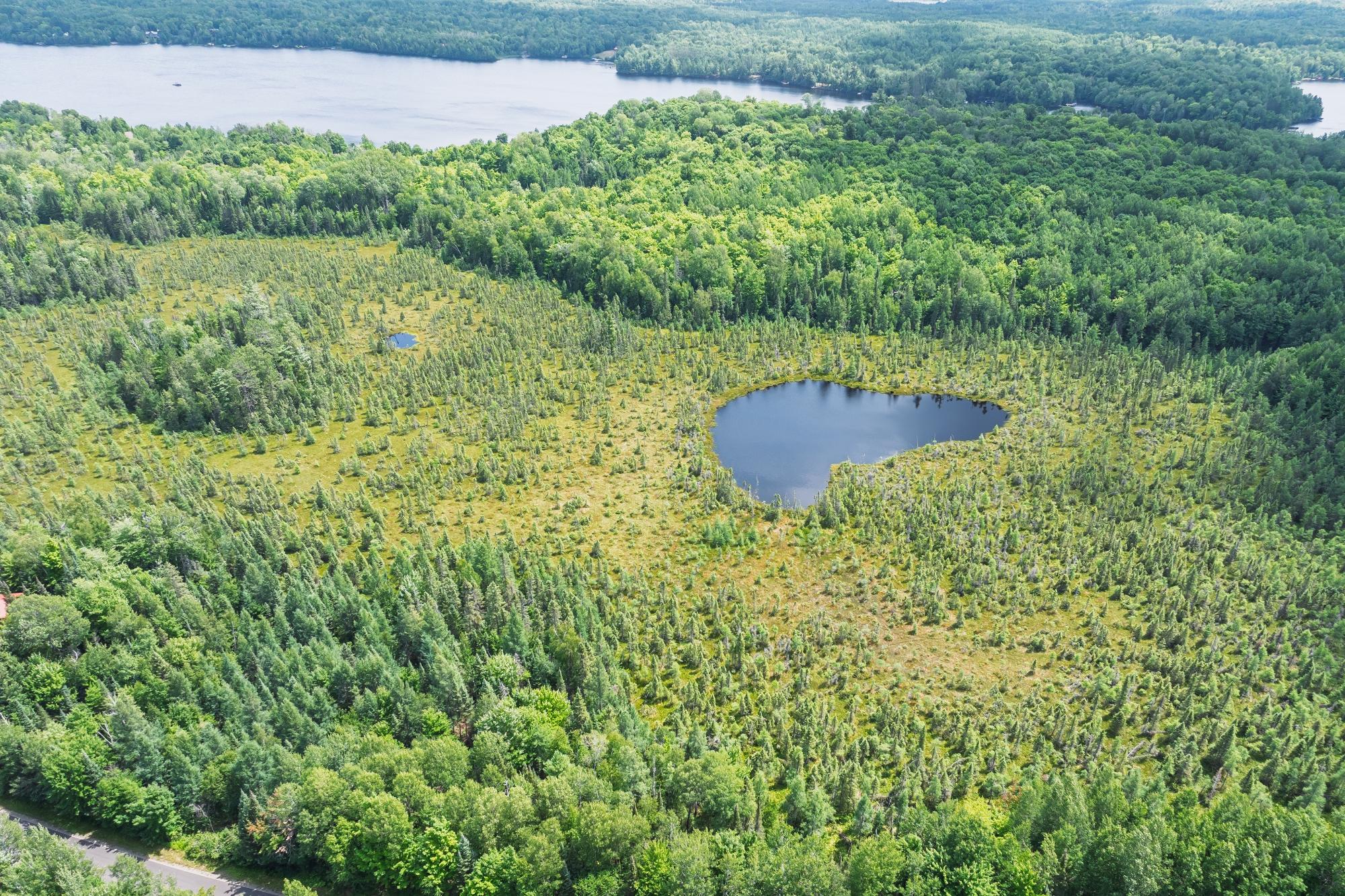 North Turtle Lake Property Off Johnson Ln Photo 9