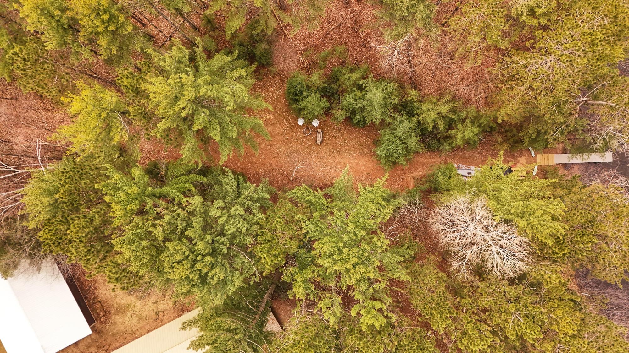 Loon Lake Property 1.6AC ON Carlson Ln Photo 4