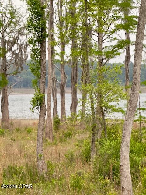Image 2 For Tbd Lakeshore Drive