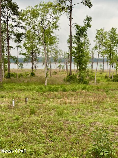 Image 3 For Tbd Lakeshore Drive
