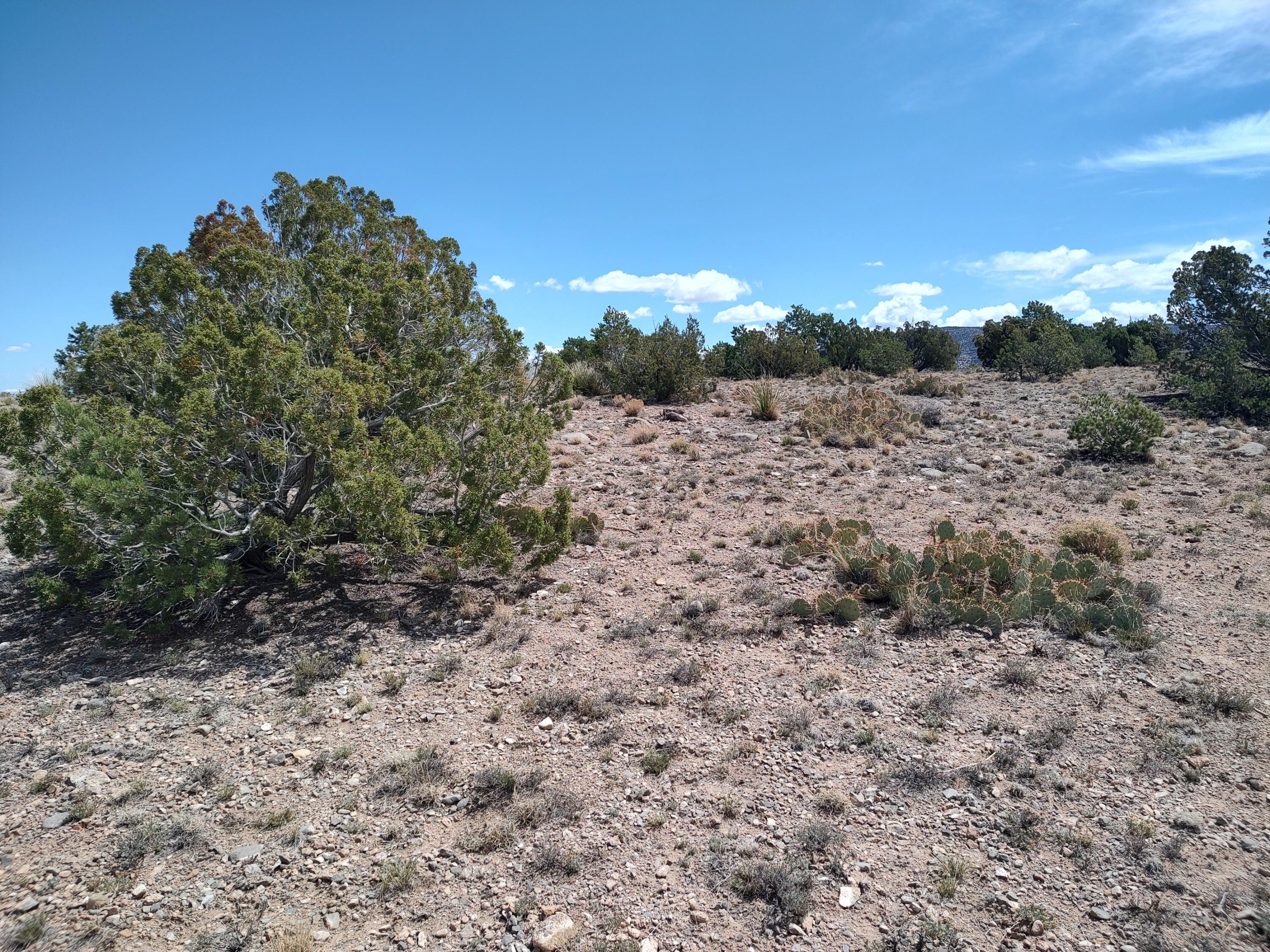 2nd image of Sunrise Dr, Placitas, NM 87043 | MLS# 1102805
