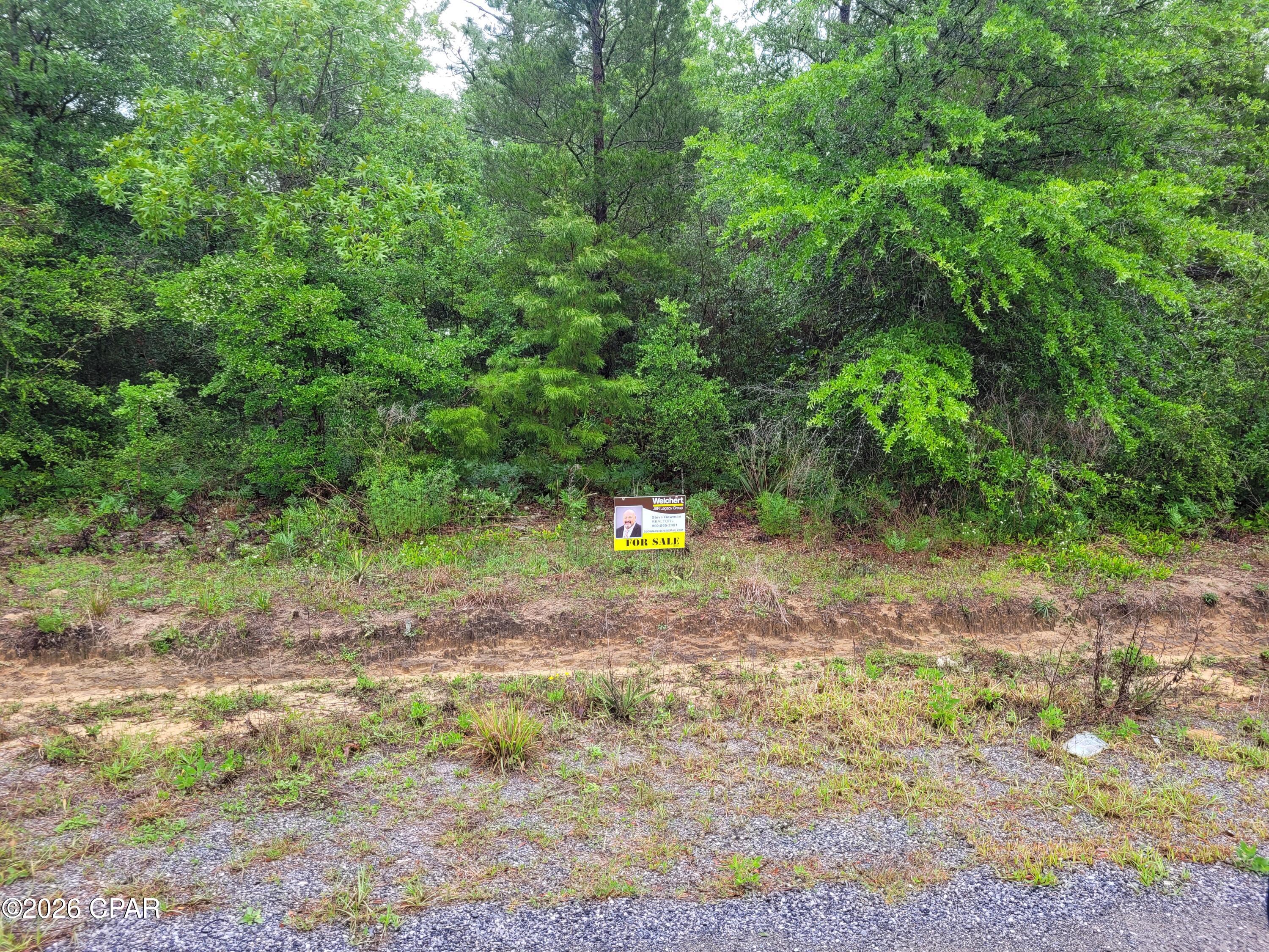 Image 3 For See Plot # Pinetree Lane