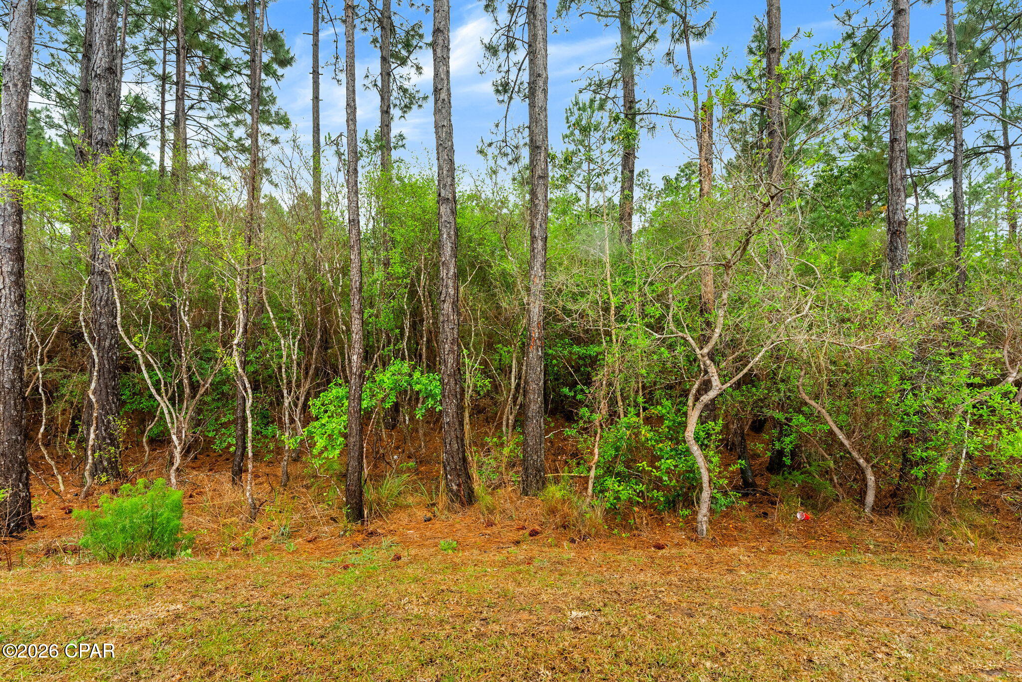 Image 42 For 224 Butler Cove