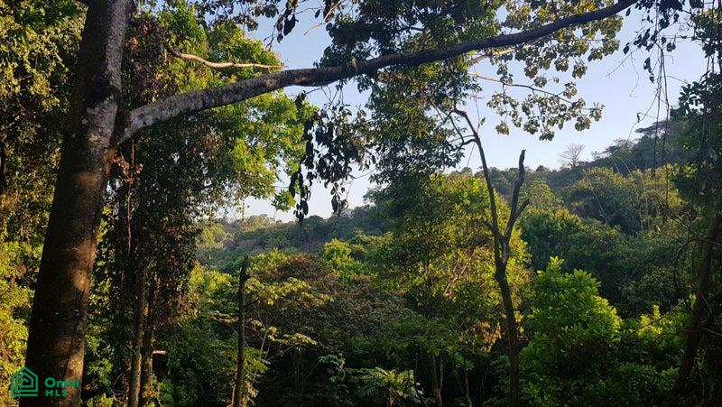  bed Land For Sale in , Puntarenas - 1