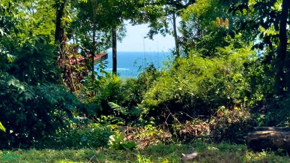 0 bed Land For Sale in Osa, Puntarenas - 1