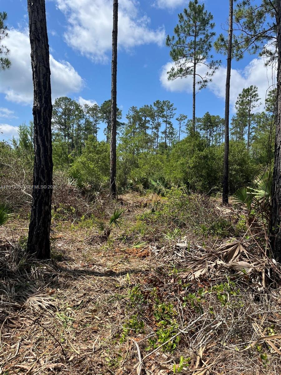 Whispering Pines