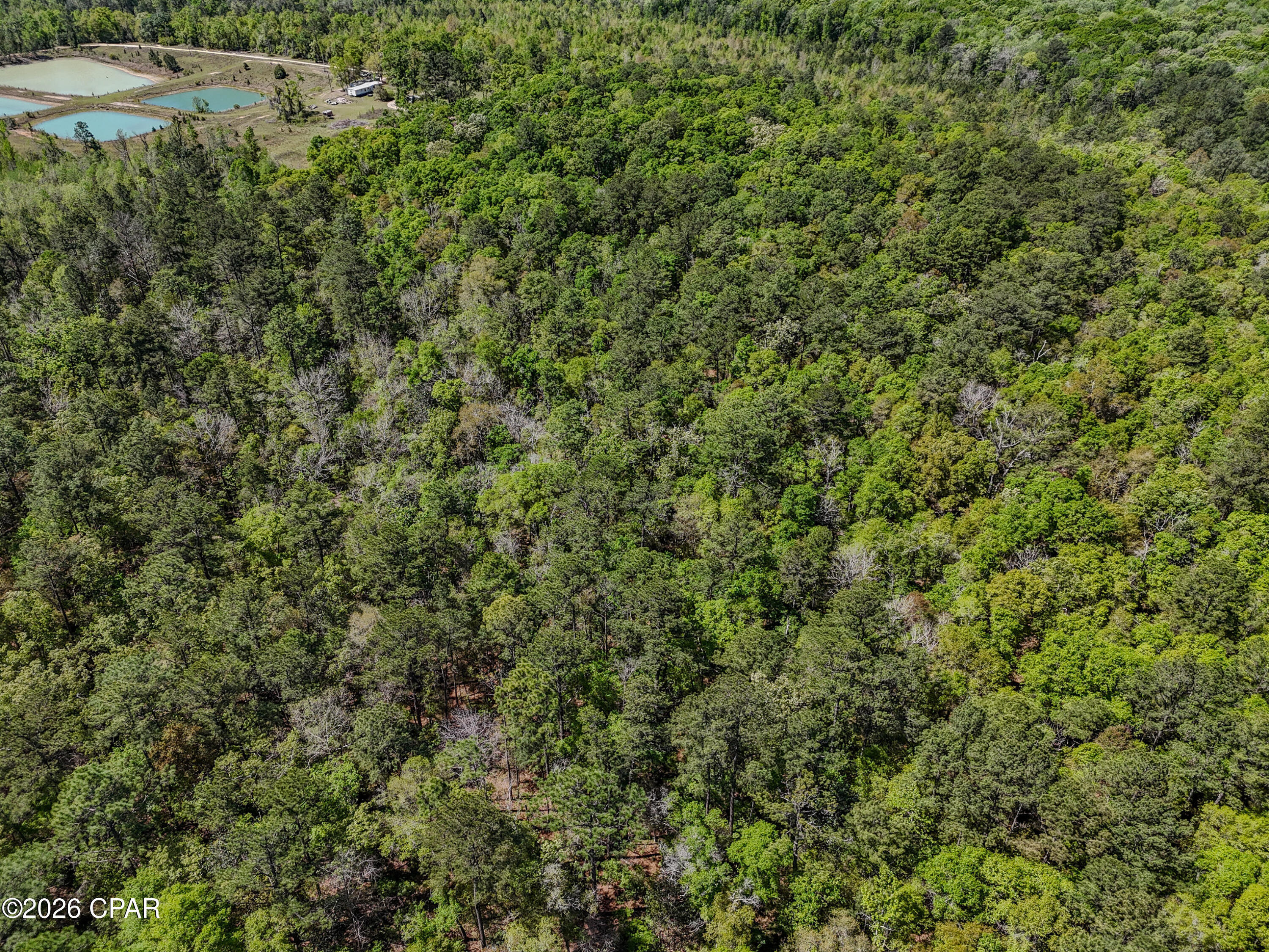 Homes for sale in Bonifay, FL | 0 Truett Cir, Bonifay, FL 32425 | MLS# 789403