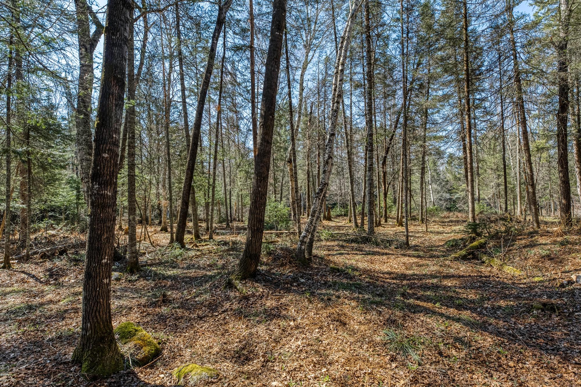 River Property Property 5364 River Run Ln Photo 47