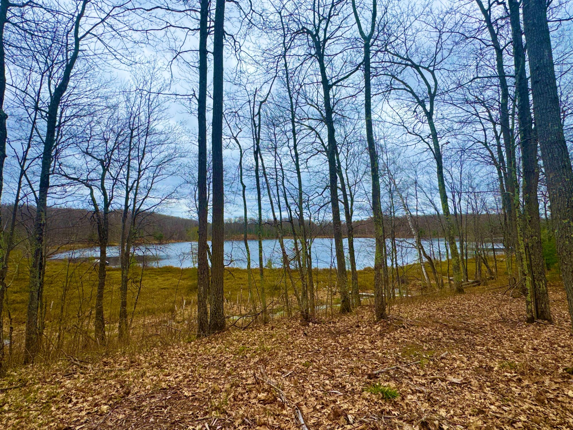 Broken Bow Lake Property 14749 Deer Tr Photo 18