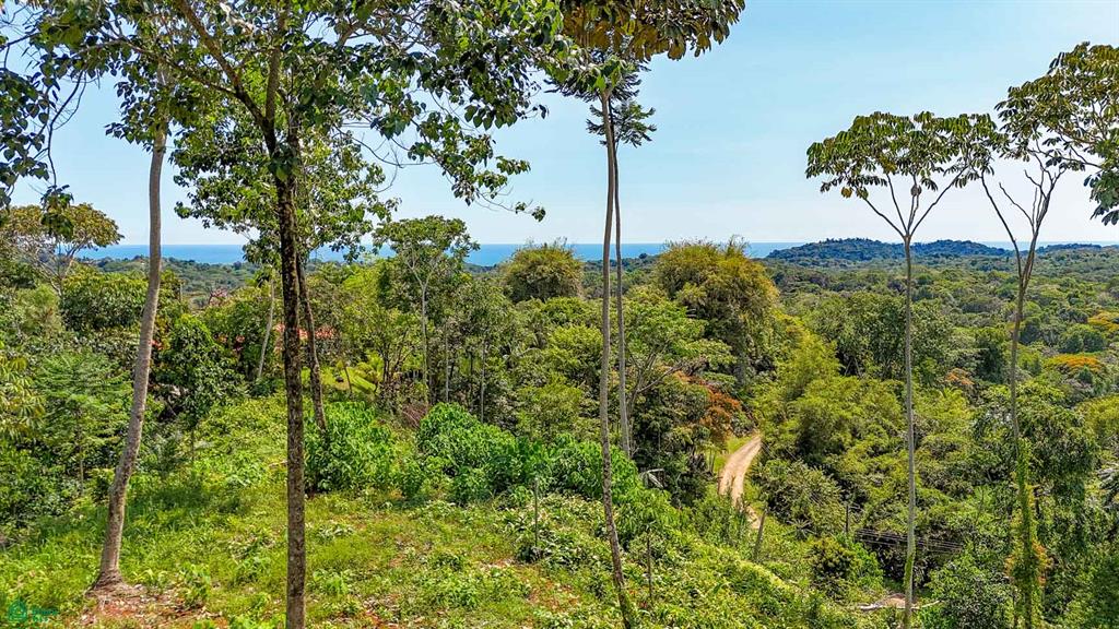  bed Land For Sale in Osa, Puntarenas - 1