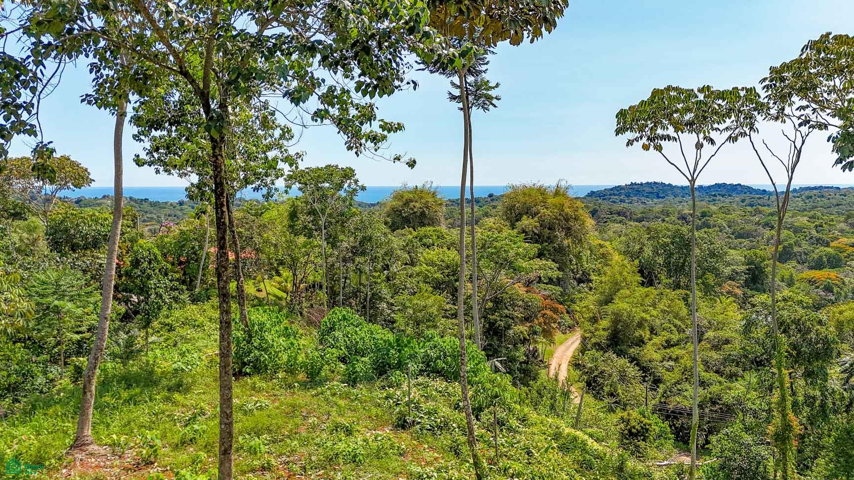  bed Land For Sale in Osa, Puntarenas - 1