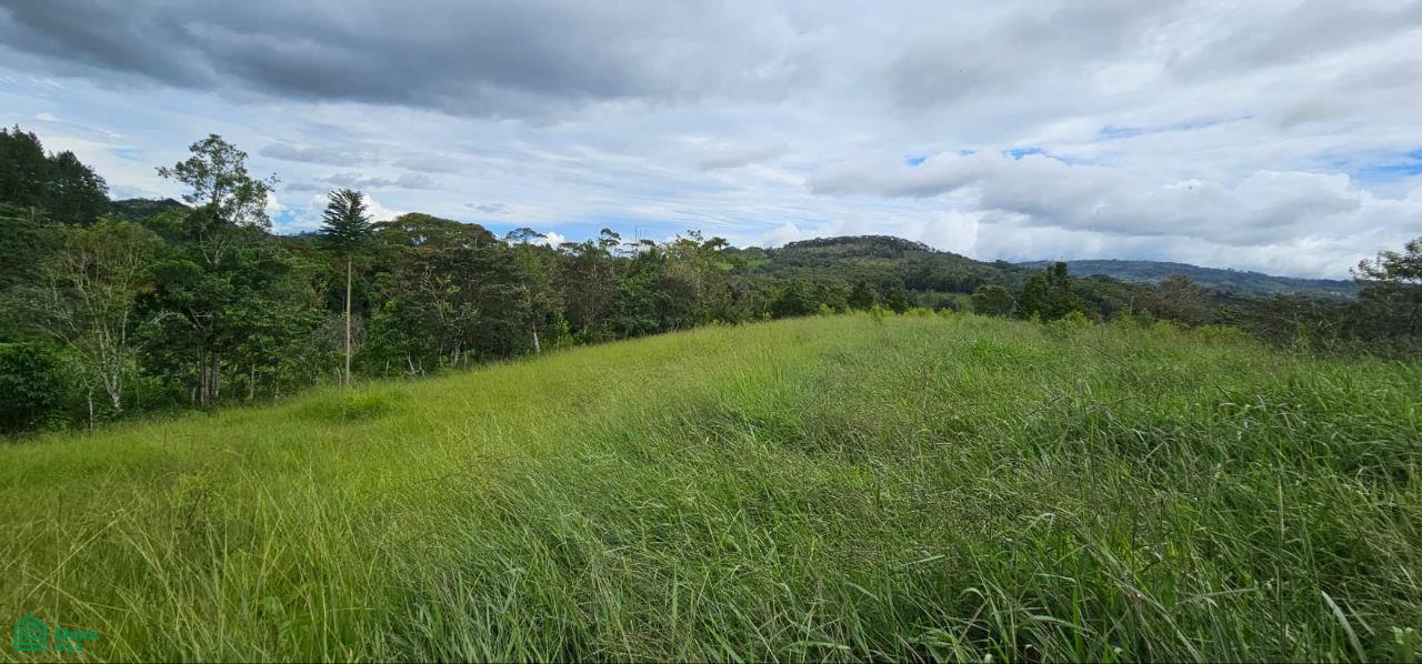  bed Land For Sale in Perez Zeledon, San Jose - 1
