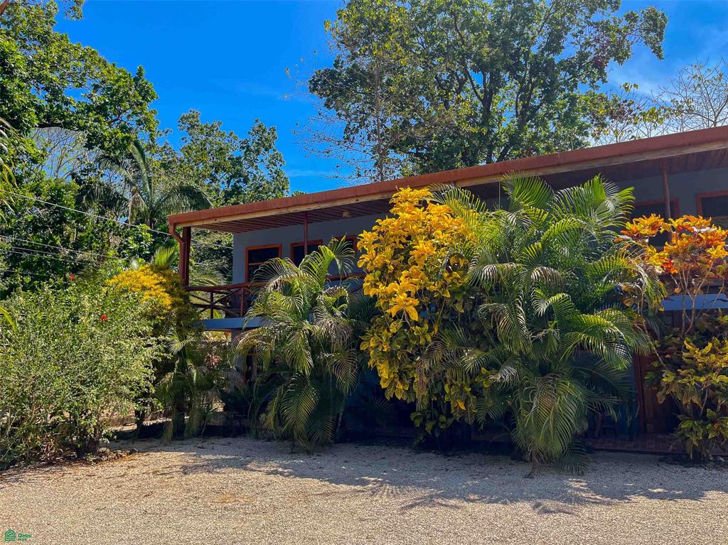 5 bed Single Family Homes For Sale in Nosara, Guanacaste - 1