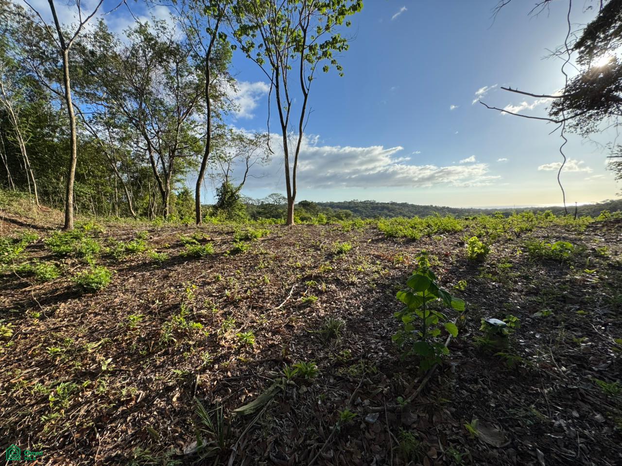  bed Land For Sale in Santa Cruz, Guanacaste - 1