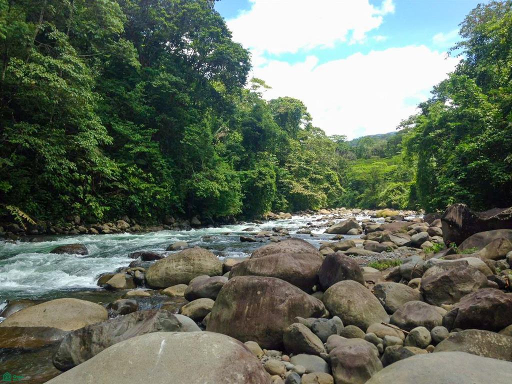  bed Land For Sale in Katira, Alajuela - 1