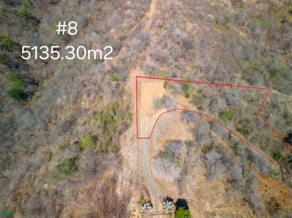  bed Land For Sale in Santa Cruz, Guanacaste - 1